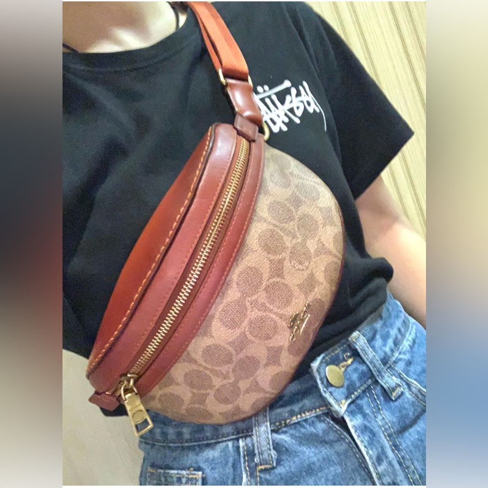 Coach Brown and Tan Mini Bag